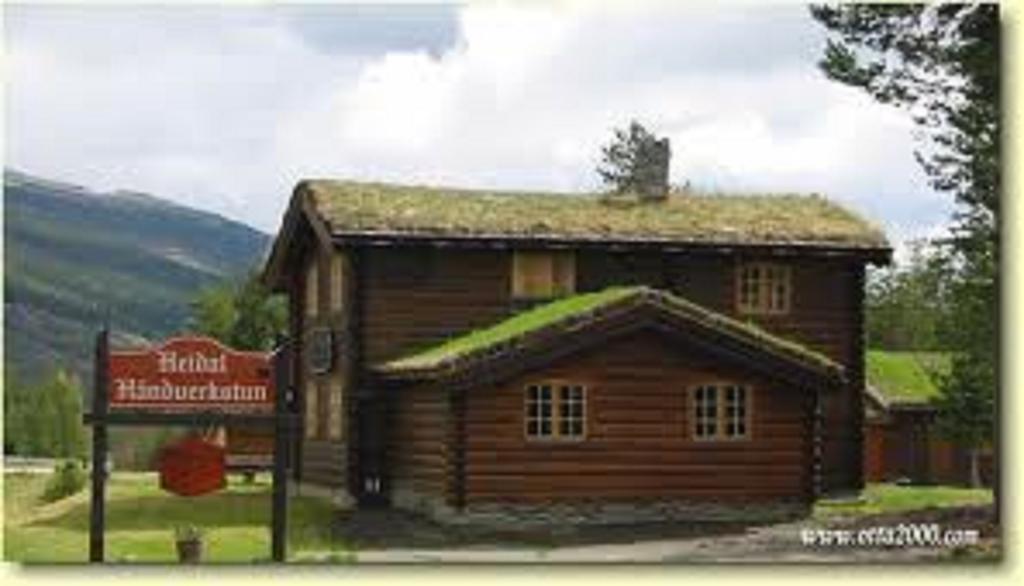Lusaeter Timber Cabins Heidal Ngoại thất bức ảnh